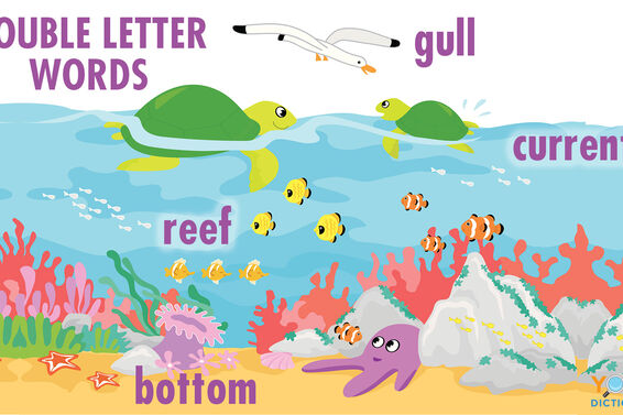 words with double letters examples